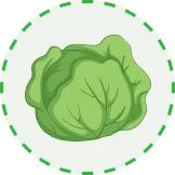 汇聚精彩，尽享娱乐 - 壹号娱乐APP