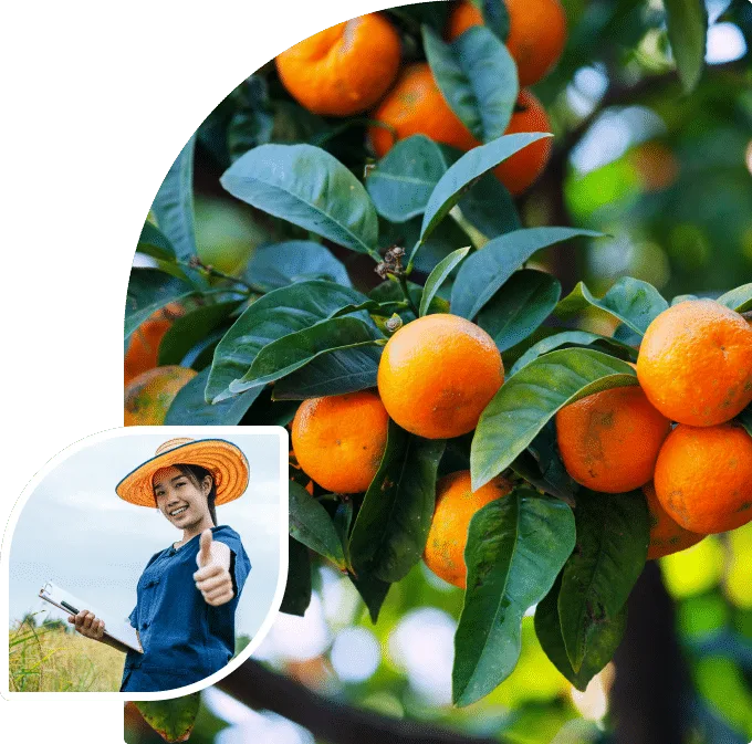 智能分析，洞悉先机 - 壹号娱乐APP