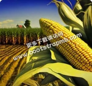 专注为您打造极致体验 - 壹号娱乐APP