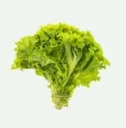 打造极致数字娱乐体验 - 壹号娱乐APP